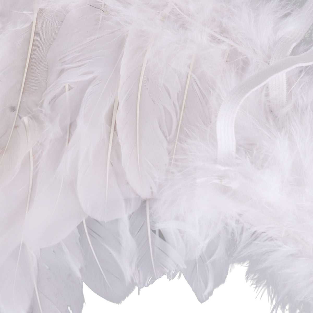 Feather Angel Wings