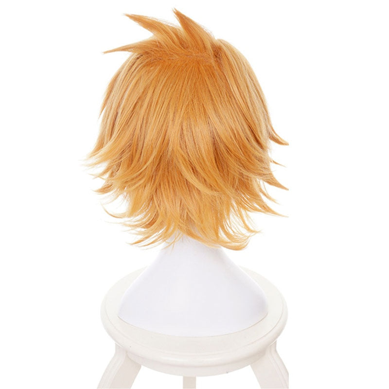 Boku no Hero Academia Kaminari Denki Wig